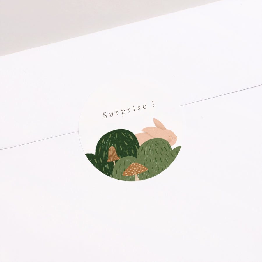 Sticker Geburt Rund Es war einmal die Tiere des Waldes foto
